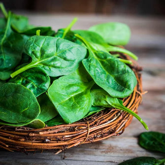 Palak/Spinach - Spinacia Oleracca - Vegetables seeds
