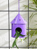 Round Hut Bird House Purple