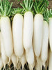 Hybrid Radish- Vegetable Seeds