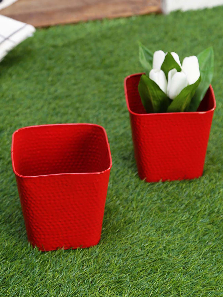 Set of Two Embossed Pot Red– Exotic Flora